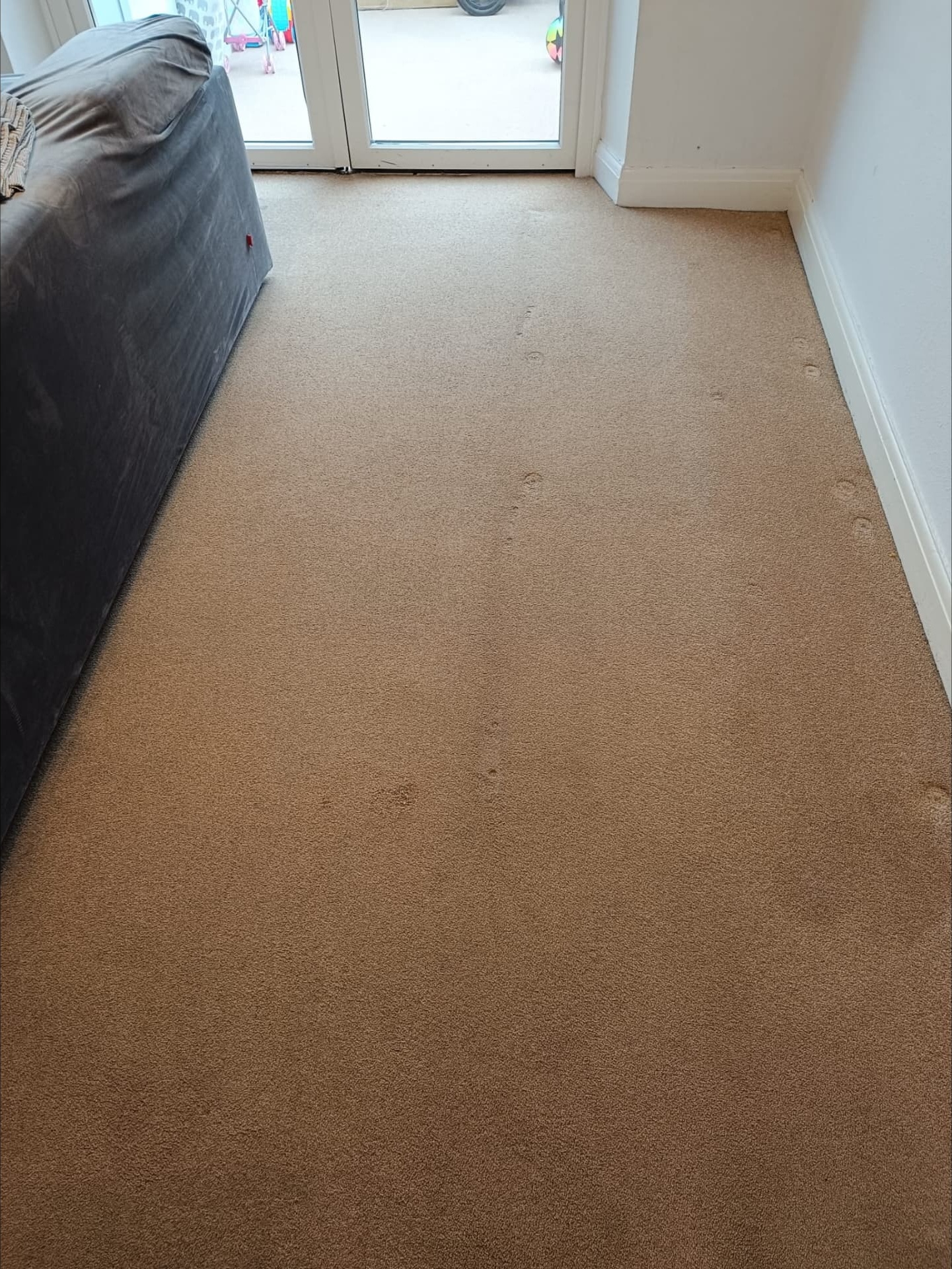 Living room carpet after professional cleaning by Carpella