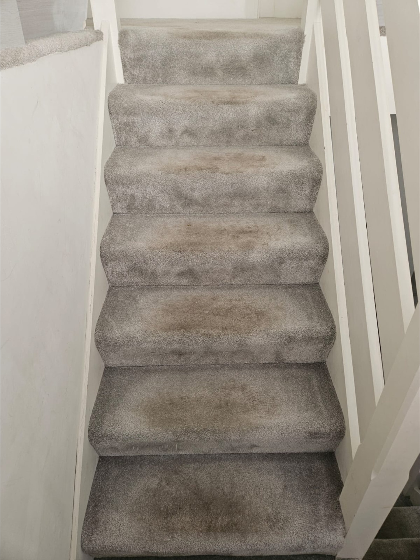 Stair carpet after professional cleaning by Carpella
