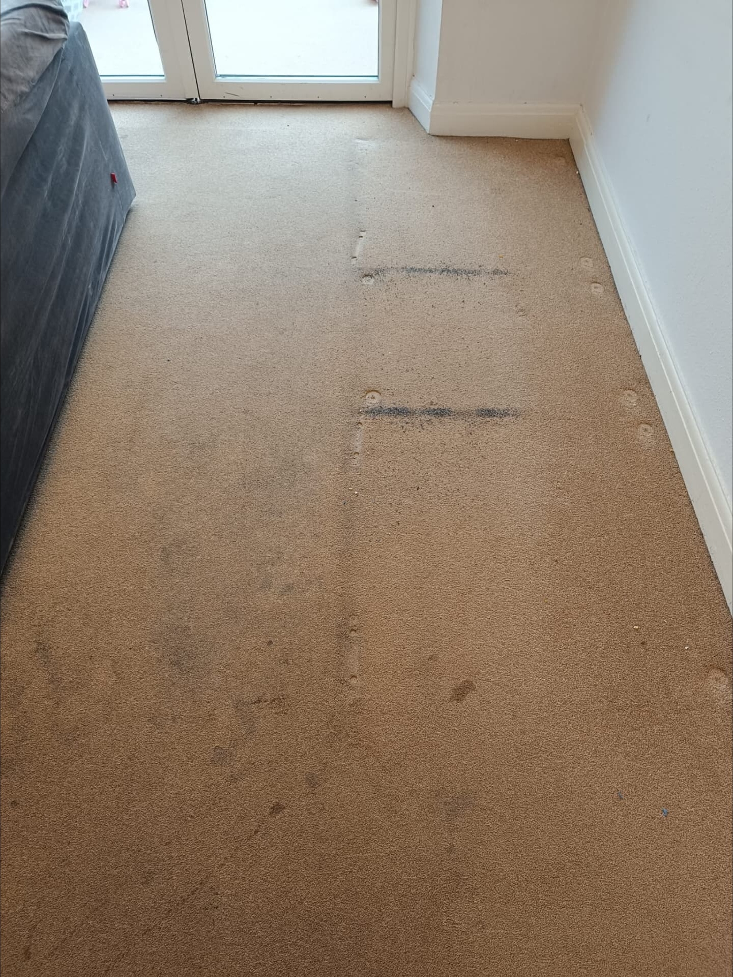 Living room carpet before cleaning