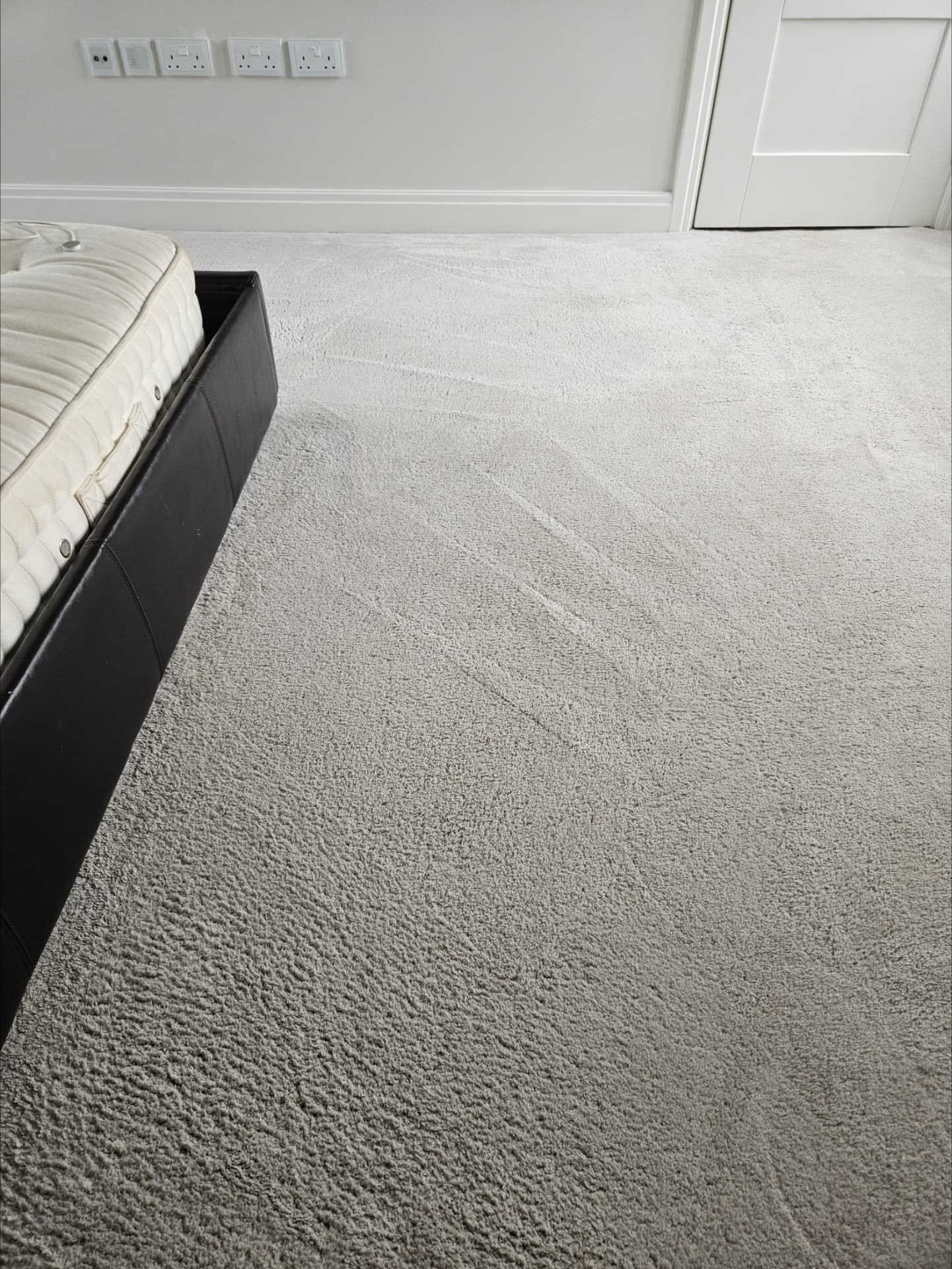 Carpet after professional stain treatment